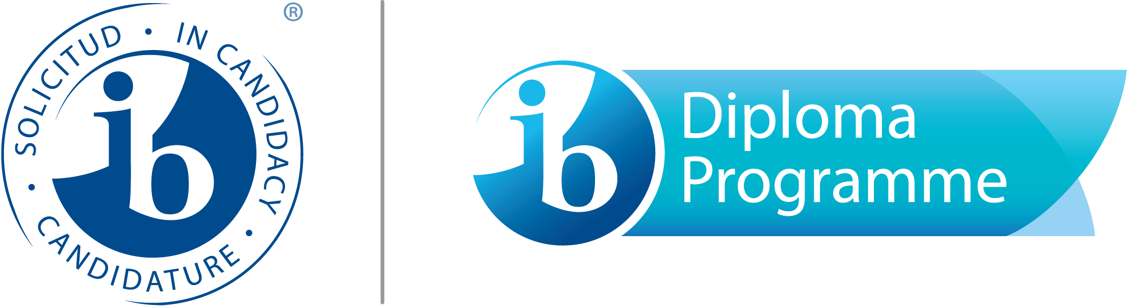IB DP Logo